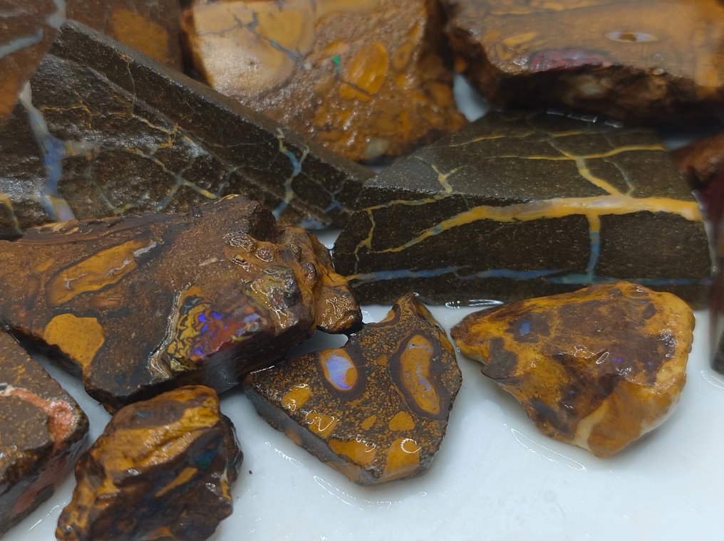 750 ct - 20 Australian Boulder Opal - Rough- 150 g #2.1