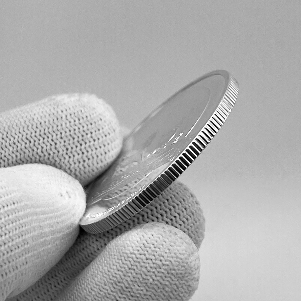 Niue. 2 Dollars 2021 – The Lion King: Timon & Pumbaa – 1 oz Silver coin – Ag .999 (No reserve price) #3.2