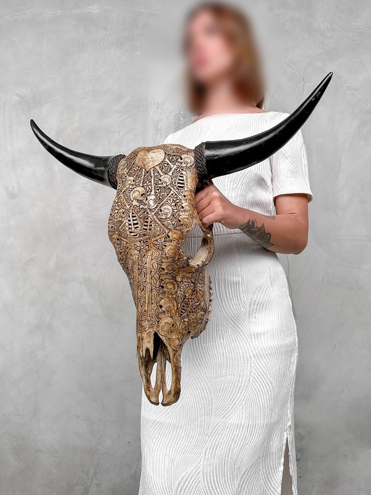 Χωρίς ελάχιστη τιμή - Αυθεντικό μεγάλο καφέ χειροποίητο κρανίο ταύρου - Θέμα ζεύγους ανθρώπινων Λαξεμένο κρανίο - Bos Taurus - 60 cm - 67 cm - 19 cm- Είδη που δεν ανήκουν στο CITES #3.2