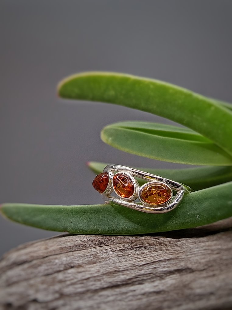 Pezzo Unico，925银戒指配波罗的海琥珀-2.4克- 2.4 g - (1) #3.2