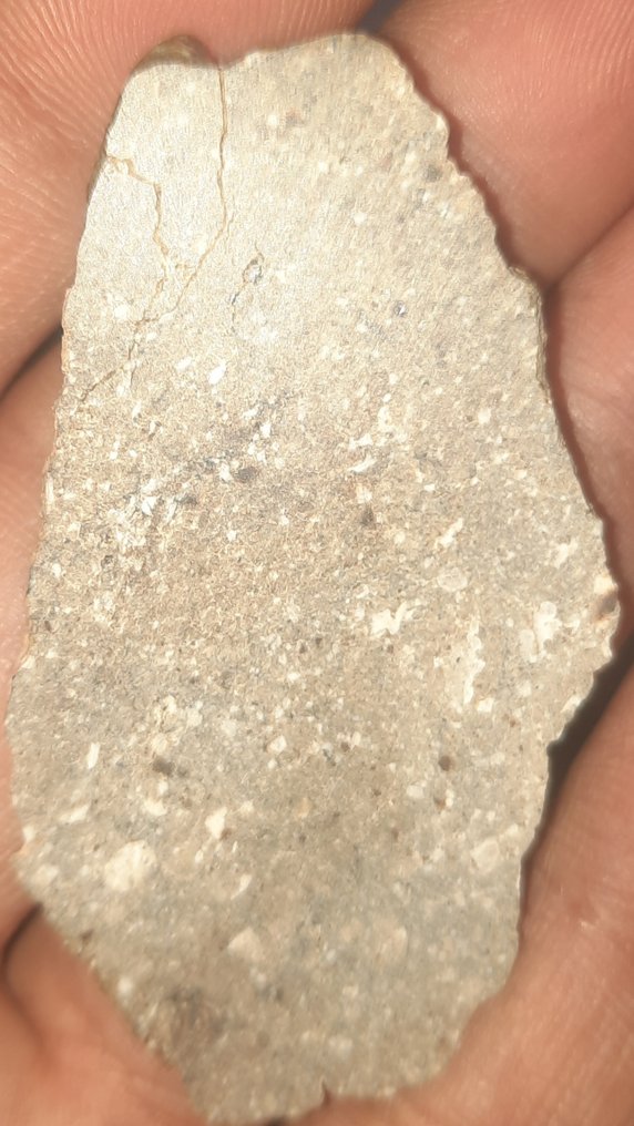 NWA 17627 - meteorite HED achondrite - Diogenite (noritic) - Height: 52 cm - Width: 33 cm - 16 g - (1) #3.2