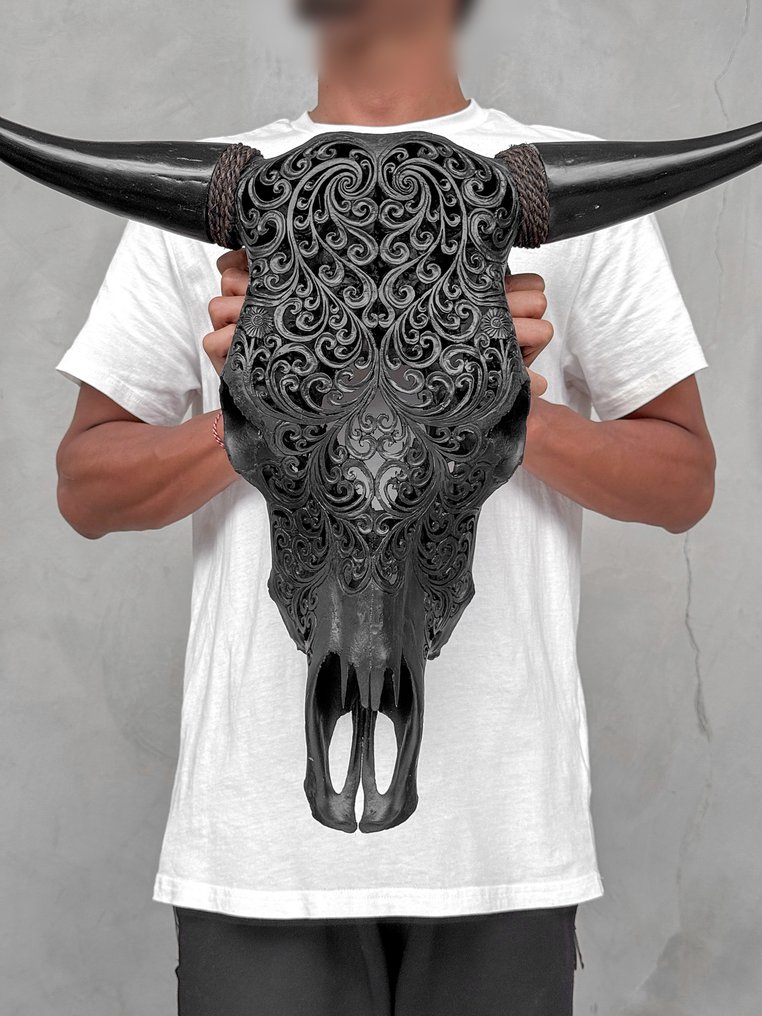 Χωρίς ελάχιστη τιμή - αυθεντικό μεγάλο μαύρο χειροποίητο κρανίο ταύρου - μοτίβο φύλλου φτέρης Λαξεμένο κρανίο - Bos Taurus - 51 cm - 65 cm - 17 cm- Είδη που δεν ανήκουν στο CITES -  (1) #1.0