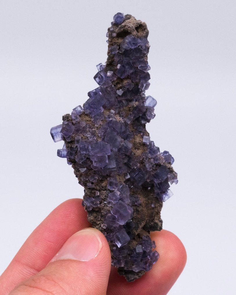 Lavendel Lila Fluorit Auf Matrix - Höhe: 7.5 cm - Breite: 3.3 cm- 26 g - (1) #1.0