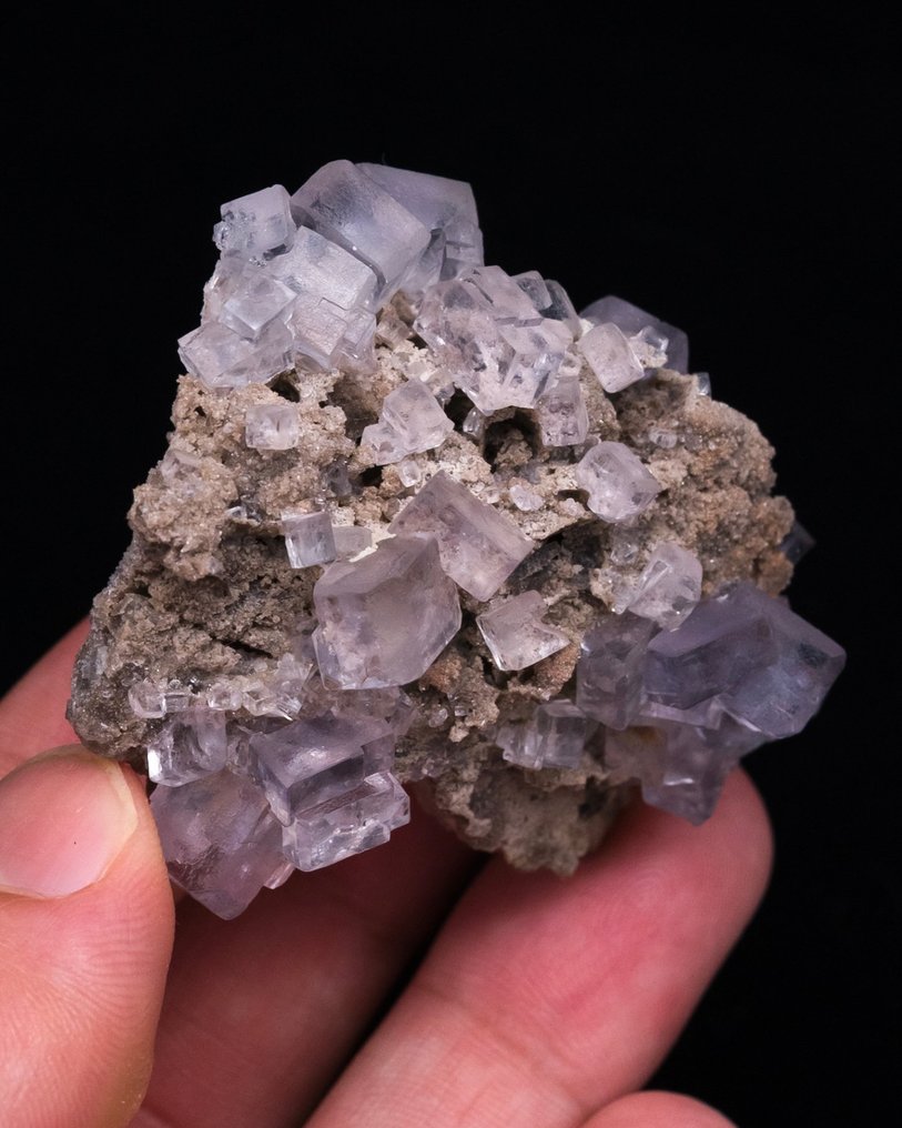 ανοιχτό μωβ φθορίτης Σε πίνακα - Ύψος: 4.7 cm - Πλάτος: 5.3 cm- 47 g - (1) #3.2