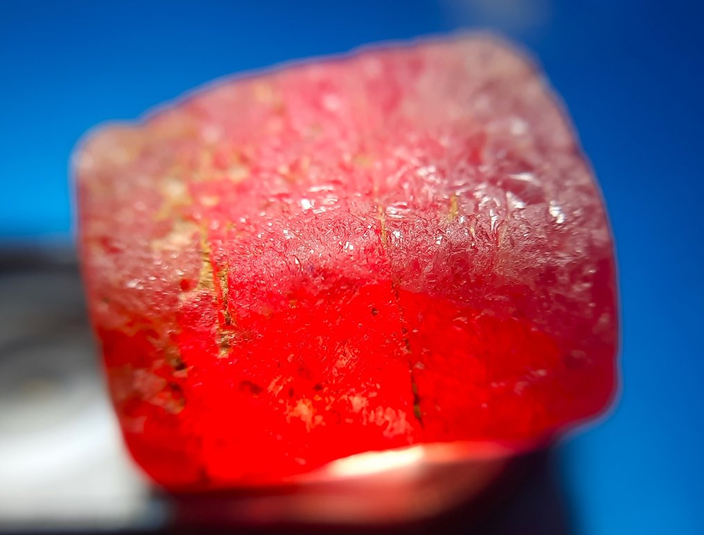 29.2 ct - Untreated Natural Ruby - Rough- 5.84 g #1.0