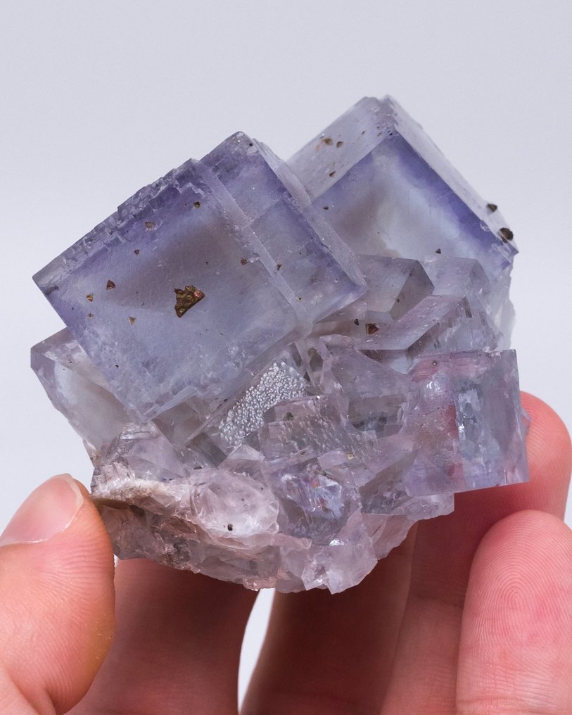 Κλασικό υλικό μπλε φθαλίτη Με χαλκοπυρίτη - Ύψος: 4.7 cm - Πλάτος: 4.8 cm- 169 g - (1) #1.0