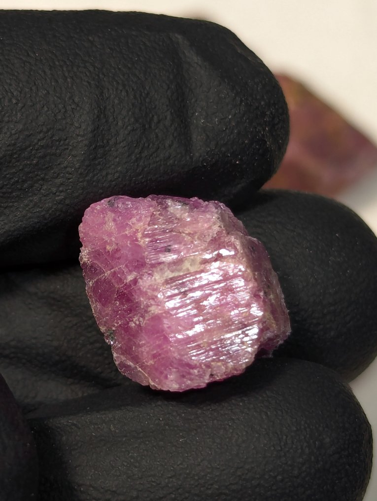 700 καρατίων - Όμορφη συλλογή κορουνδούμ με παραλλαγή Ruby, ακατέργαστο από τη Βραζιλία, φυσικό Τραχύς - Ύψος: 25 mm - Πλάτος: 8 mm- 140 g - (40) #3.2