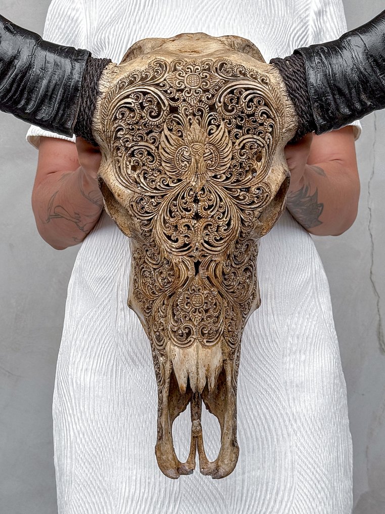 Χωρίς ελάχιστη τιμή - C - Μεγάλο καφέ ξύλινο κρανίο βουβάλου νερού - Μικρό μοτίβο λωτού Λαξεμένο κρανίο - Bubalus Bubalis - 72 cm - 59 cm - 18 cm- Είδη που δεν ανήκουν στο CITES -  (1) #1.0