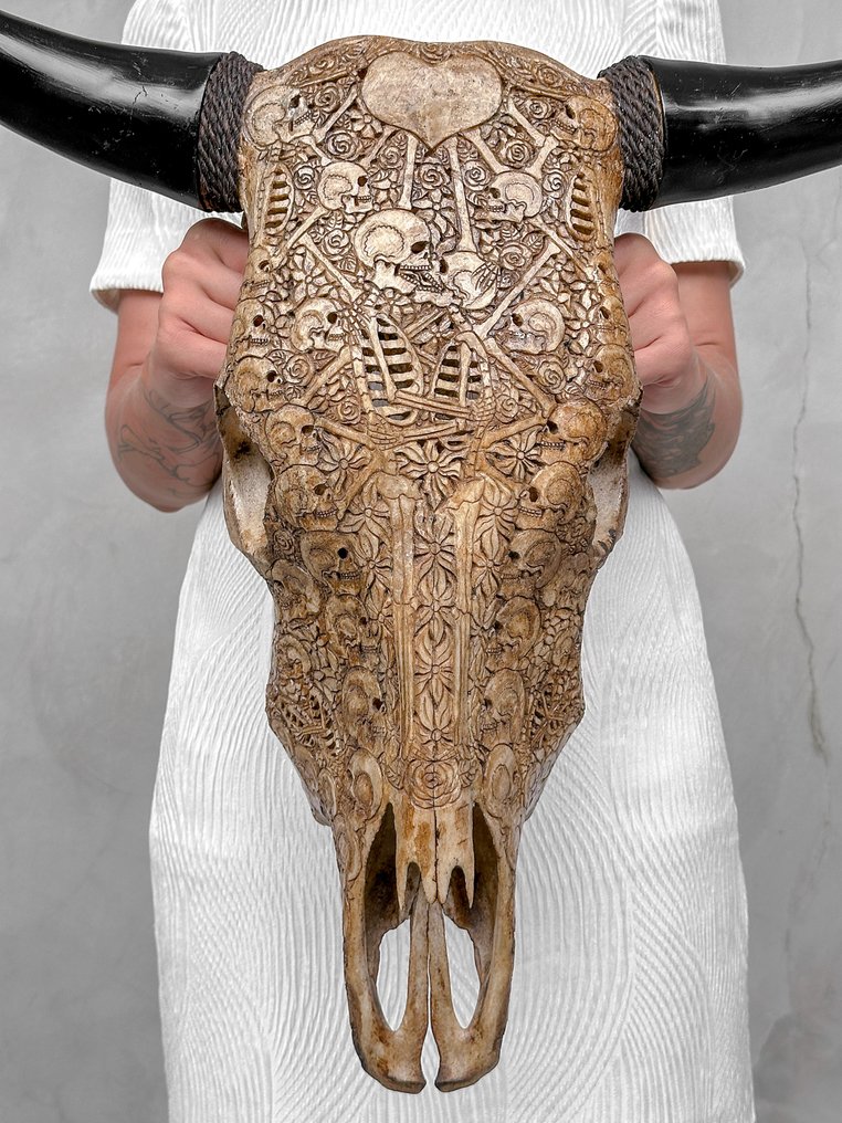 Χωρίς ελάχιστη τιμή - Αυθεντικό μεγάλο καφέ χειροποίητο κρανίο ταύρου - Θέμα ζεύγους ανθρώπινων Λαξεμένο κρανίο - Bos Taurus - 60 cm - 67 cm - 19 cm- Είδη που δεν ανήκουν στο CITES #1.0