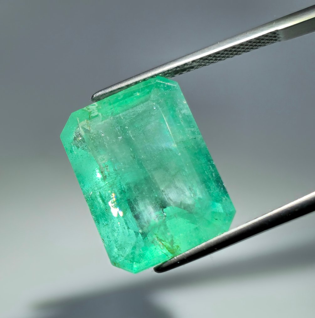 No reserve price - 1 pcs  Green Emerald  - 15.17 ct - International Gemological Institute (IGI) #3.2