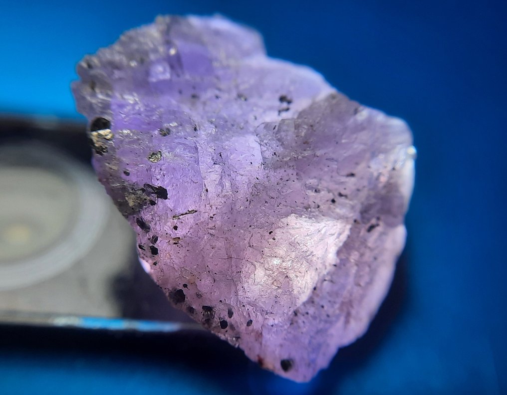 8.8 cts - Φυσικός Κρύσταλλος Tanzanite Τραχύς- 1.76 g #1.0