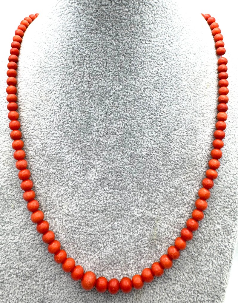 Ei pohjahintaa - Ketju - 14 kt. Keltakulta #1.0