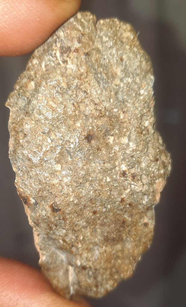 NWA 17627 - meteorite HED achondrite - Diogenite (noritic) - Height: 52 cm - Width: 33 cm - 16 g - (1) #1.0