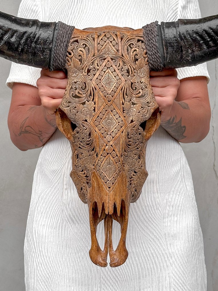 无底价 - 正品大型棕色手工雕刻水牛头骨 - Ketupat 图案 雕刻頭骨 - Bubalus Bubalis - 63 cm - 61 cm - 17 cm- 非《瀕臨絕種野生動植物國際貿易公約》物種 -  (1) #1.0