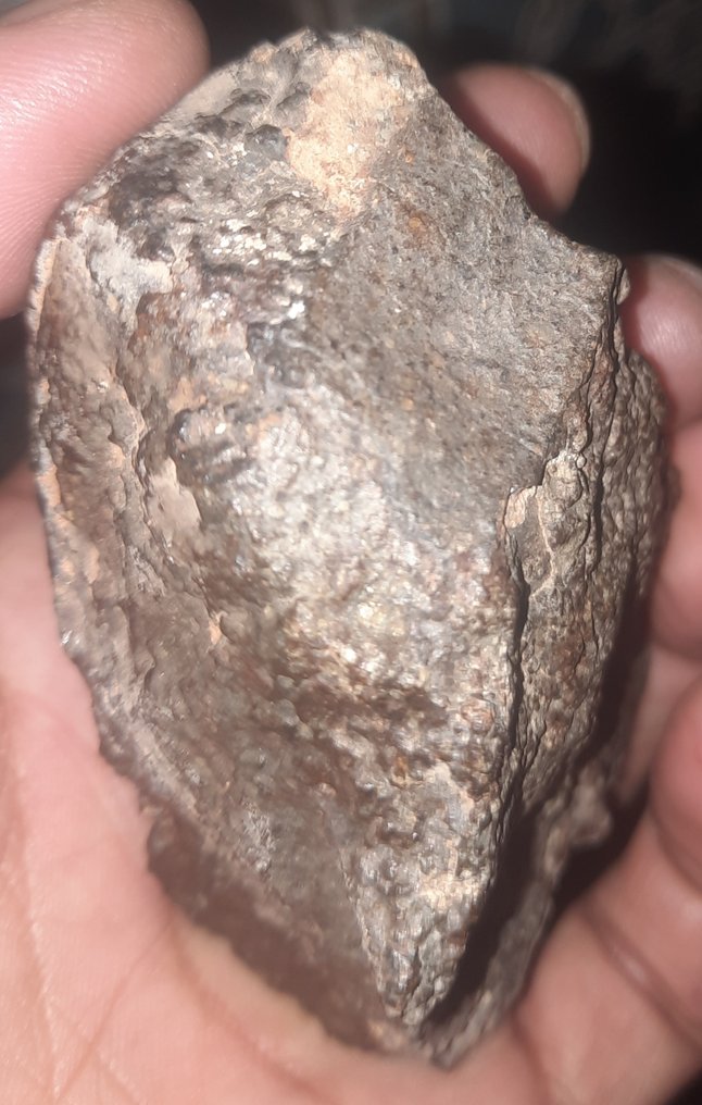 Chondrit NWA 869 - Meteoriten gewöhnlicher Chondrit L3-6 - Höhe: 76 cm - Breite: 50 cm - 244 g - (1) #1.0