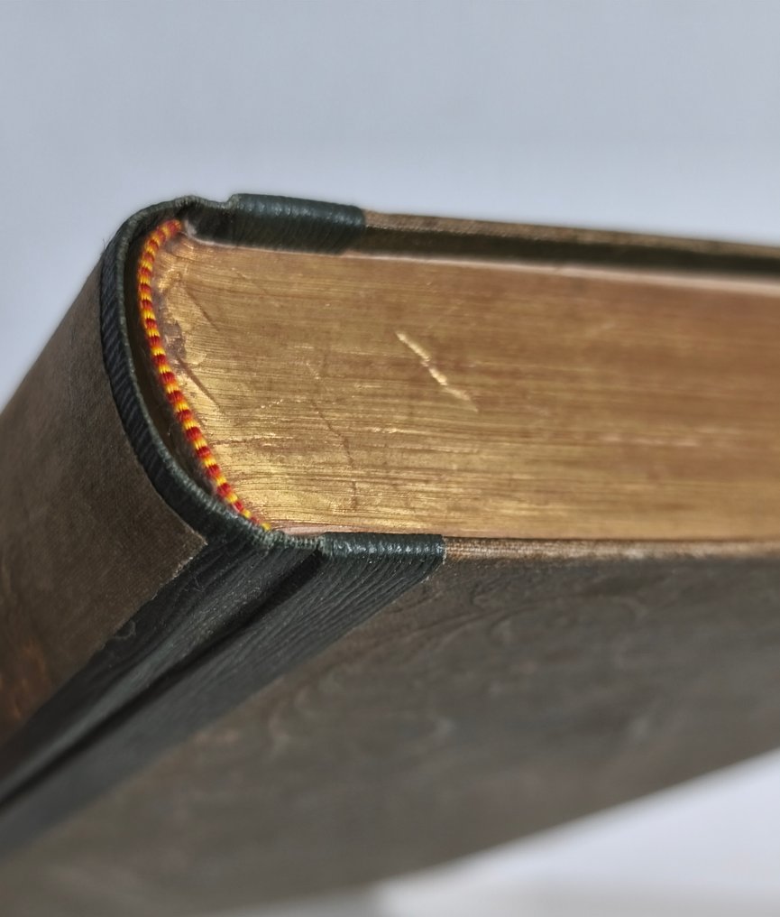 William Tombleson (1795 – c. 1846) - Tombleson's Views of the Rhine. Vues du Rhin. Rhein Ansichten - 1832 #3.2