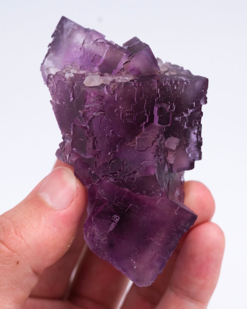 紫色萤石 使用 QUARTZ 变体 Herkimer 钻石 - 高度: 7.1 cm - 宽度: 4.2 cm- 170 g - (1) #3.2