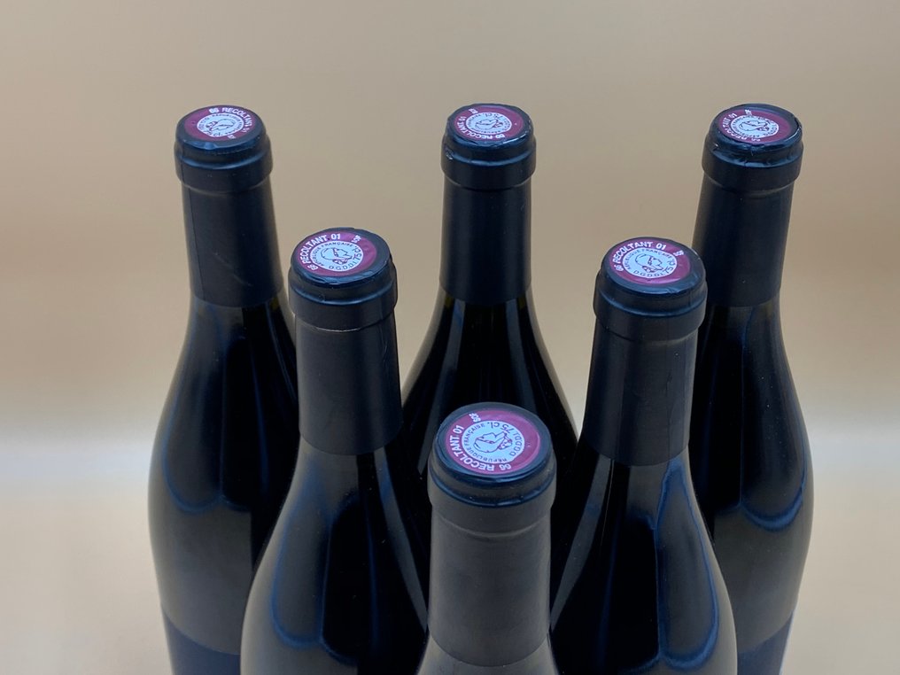 2022 Consolation Dog Strangler Mourvedre - Languedoc - 6 Bouteilles (0,75 L) #2.1