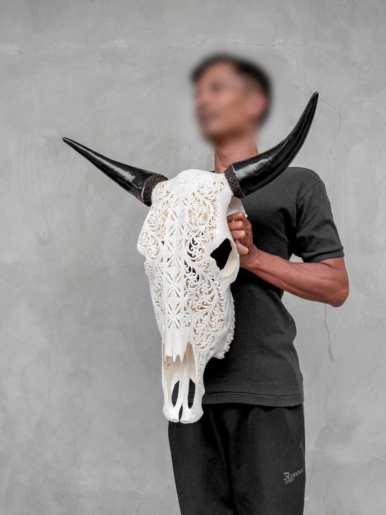 无底价 - 正品大型白色手工雕刻公牛头骨 - 葫芦结图案 雕刻的颅骨 - Bos Taurus - 58 cm - 57 cm - 22 cm- 非《濒危物种公约》物种 -  (1) #1.0