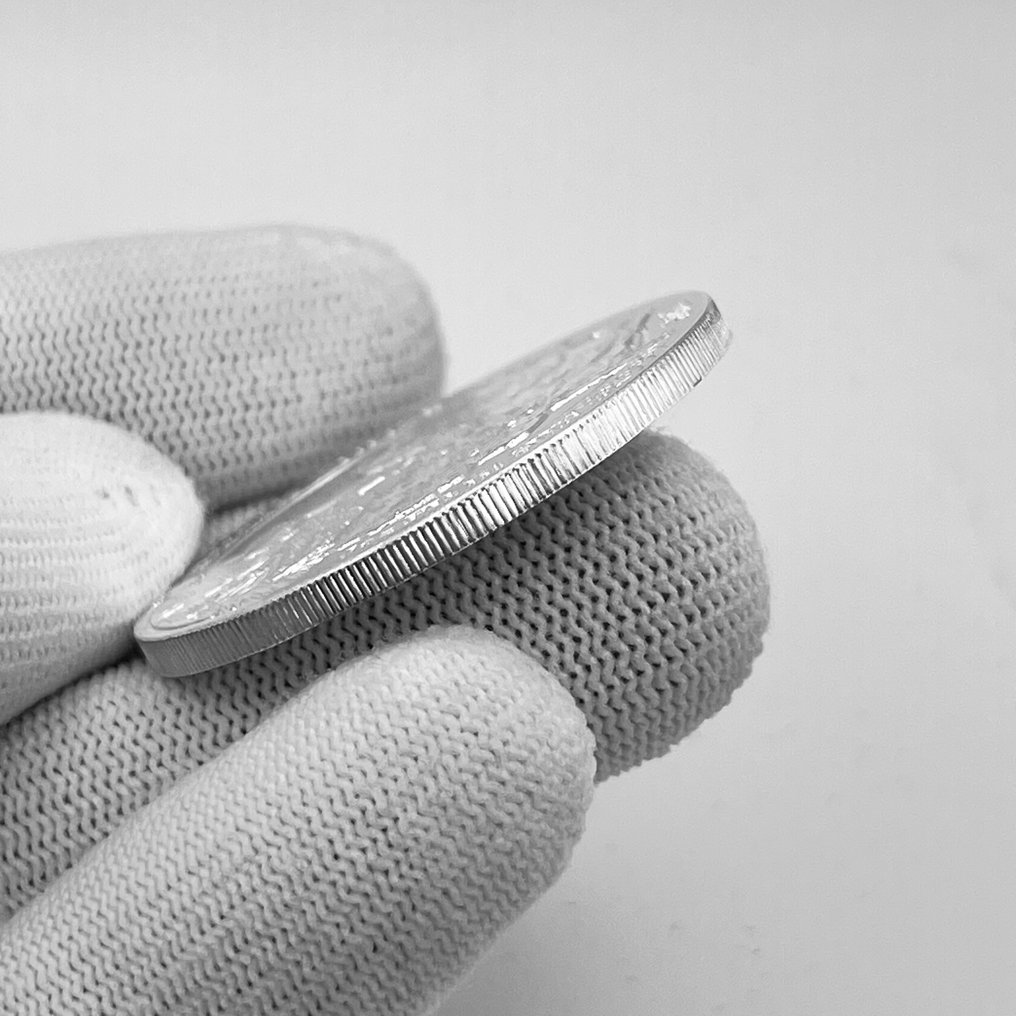 Rwanda and Burundi. 50 RWF 2019 – African Wildlife Series: Shoebill – 1 oz Silver coin – Ag .999 (No reserve price) #4.3