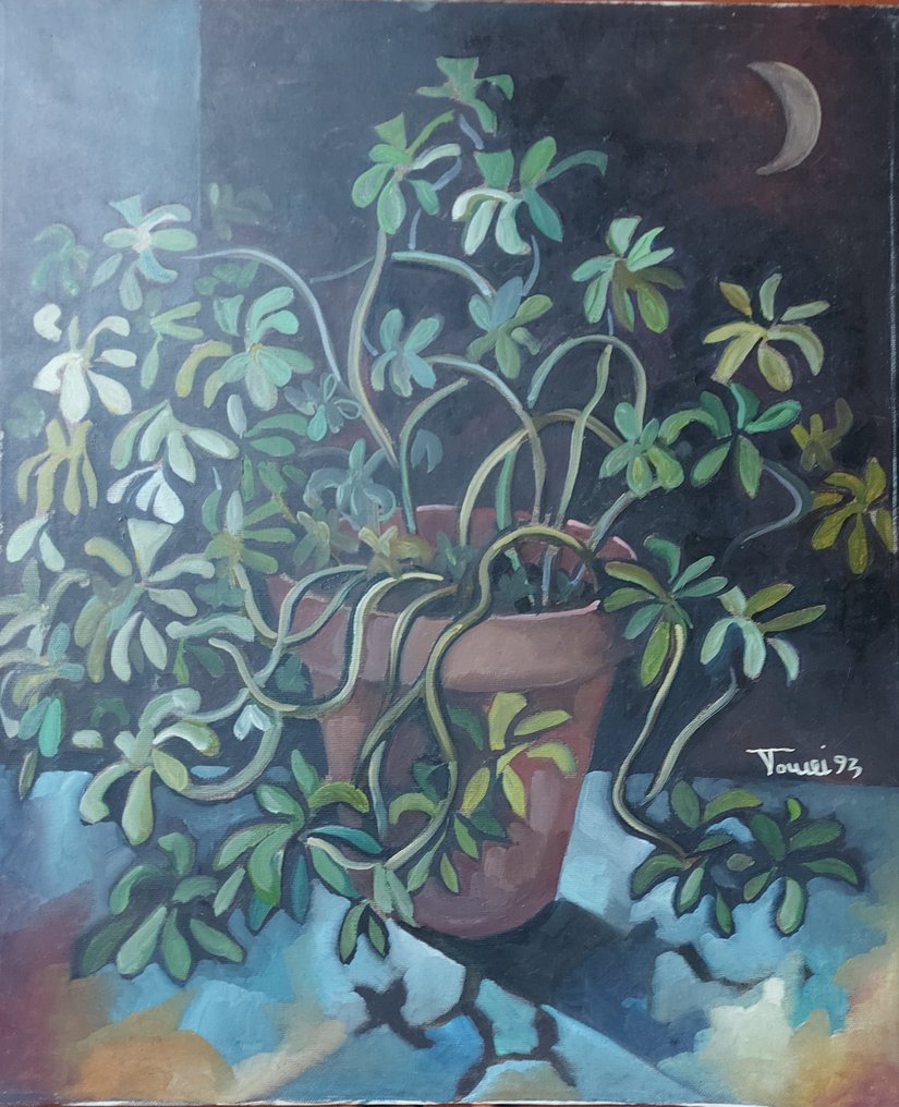 Francesco Tomei (XX) - Pianta grassa #3.2