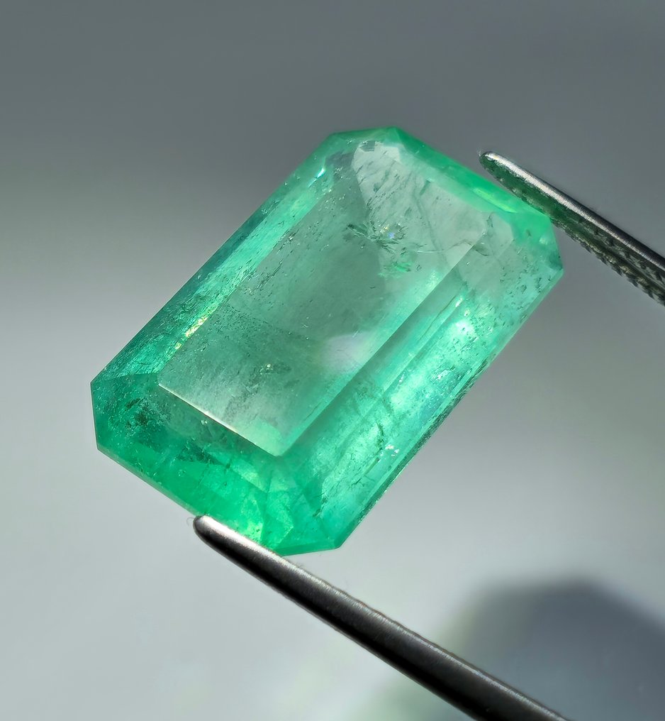 1 pcs Groen Smaragd - 18.29 ct - International Gemological Institute (IGI) #1.0
