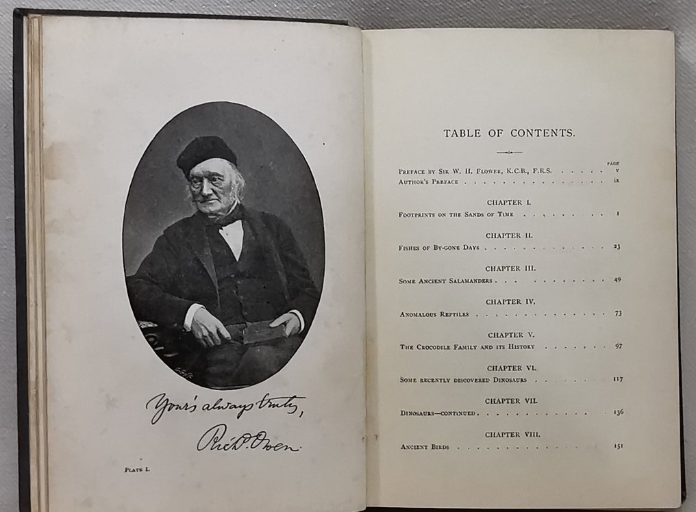 Rev. H.N. Hutchinson - Creatures of Other Days. Popular Studies in Palaeontology - 1896 #4.3
