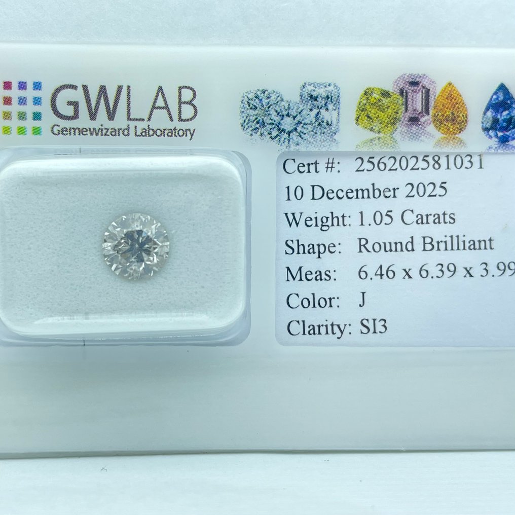 Senza prezzo di riserva - 1 pcs Diamante (Naturale) - 1.05 ct - Rotondo - J - SI3 - Gemewizard Gemological Laboratory (GWLab) #1.0