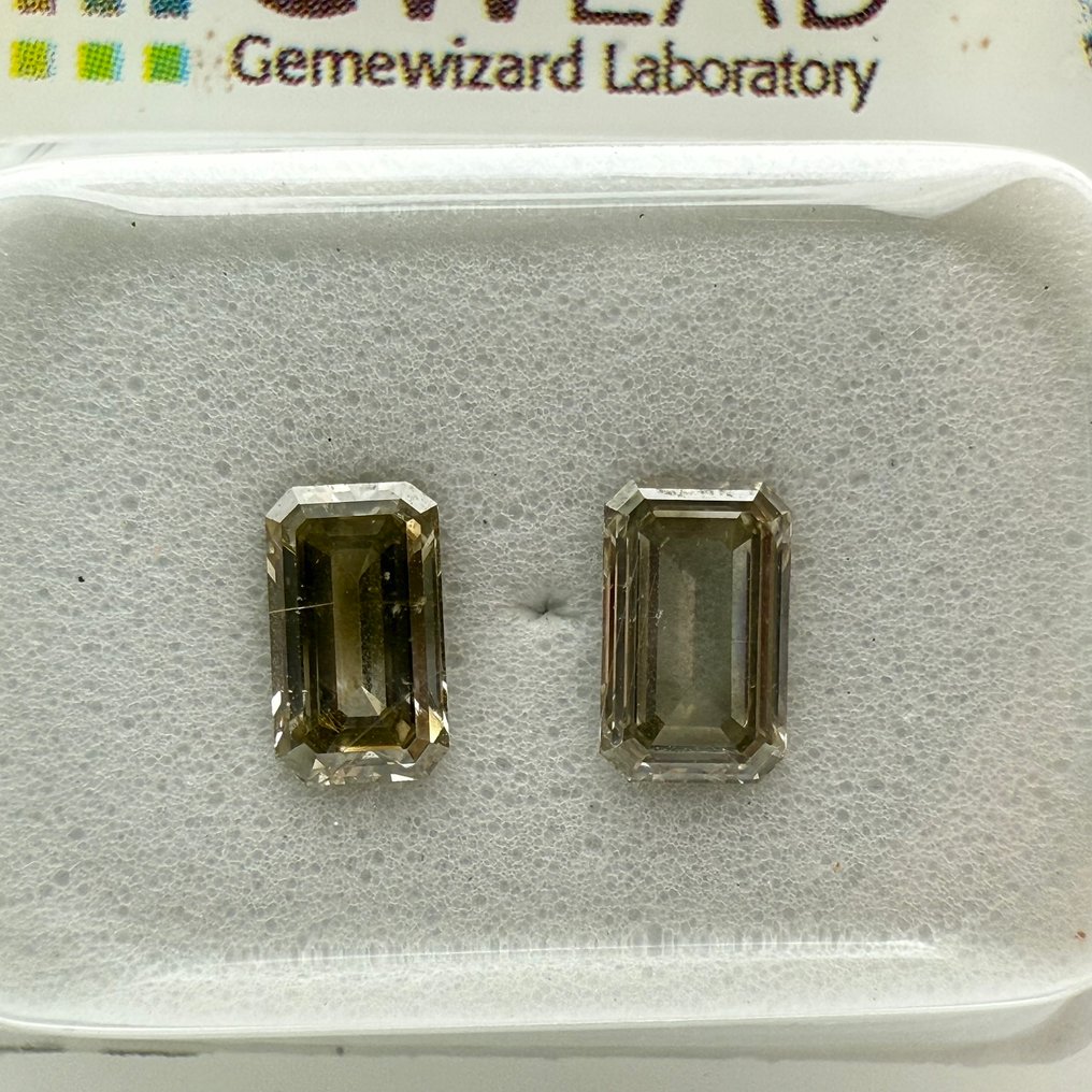 Fără preț de rezervă - 2 pcs Diamant (Colorat natural) - 0.83 ct - Dreptunghi - Fancy, Fancy light Gri - VS2, SI1 - Fără raport de laborator #1.0