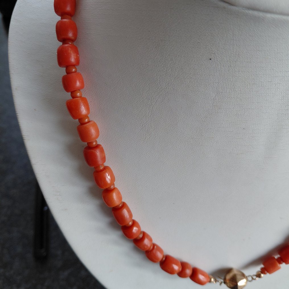 Sans prix de réserve - Collier - 14 carats Or jaune Corail rouge - Corail rouge #1.0