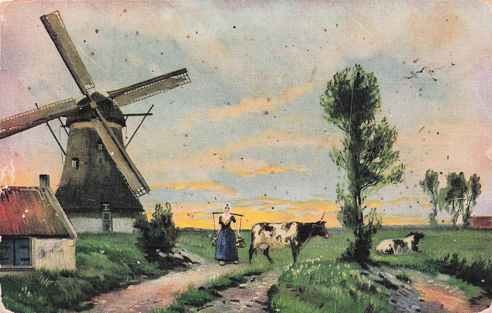 Morile din Țările de Jos, cu dimensiuni mici, dar și multe de format mare, color. - Carte poștală (175) - 1940-1980 #1.0