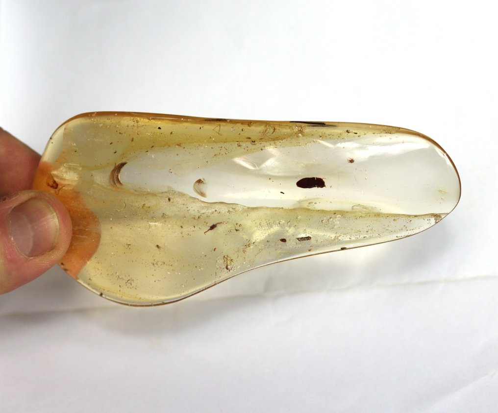 Copal - Chihlimbar - Big chunk with many insects , including a very big one (12.5 cm) - 12.5 cm - 5.5 cm #1.0