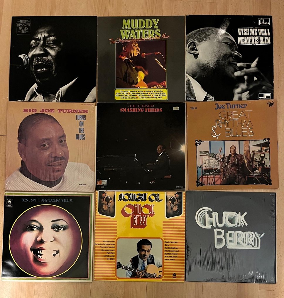 Muddy Waters, Chuck Berry, Various Artists/Bands in Blues - Multiple artists - Lot Of 9 Great Blues Albums - Multiple titles - LP Albums (multiple items) - 1970 #1.0