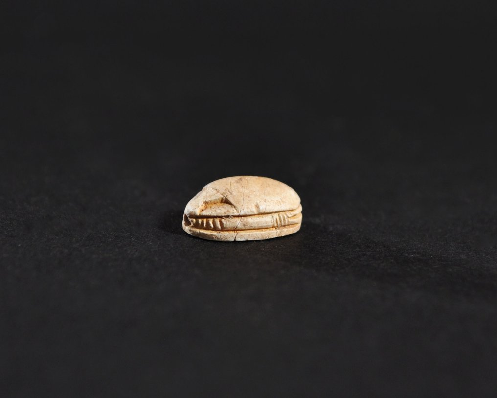 古埃及，第二中间期 Faience Scarab - 11.9 mm #3.2