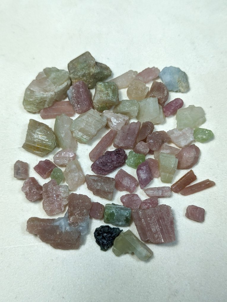 404.5 ct - Lot of Natural Tourmaline Crystals, Pink and Green from Brazil Rough - Height: 25 mm - Width: 12 mm- 80.9 g - (54) #1.0