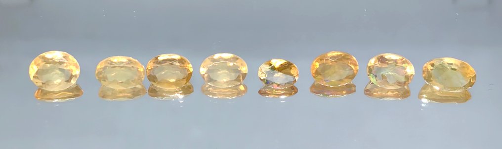 沒有保留價 火蛋白石  - 8.35 ct - Antwerp Laboratory for Gemstone Testing (ALGT) #1.0