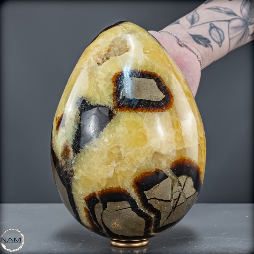 Εντυπωτικό αυγό δράκου Septarien από τη Μαδαγασκάρη Φυσική Δύναμη & Μυστική Ομορφιά (2,3 kg)- 2383.58 g #1.0