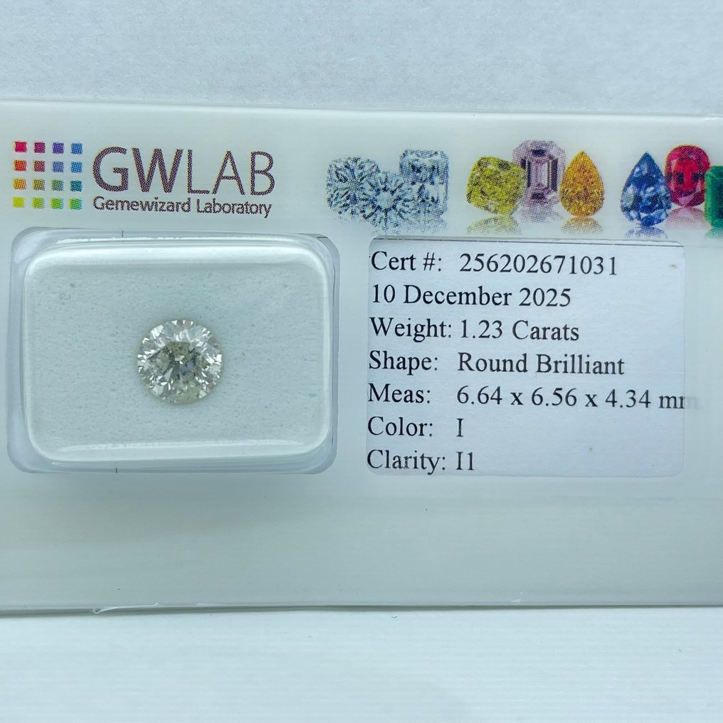 Utan reservationspris - 1 pcs Diamant (Natural) - 1.23 ct - Rund - I - I1 - Gemewizard Gemological Laboratory (GWLab) #1.0