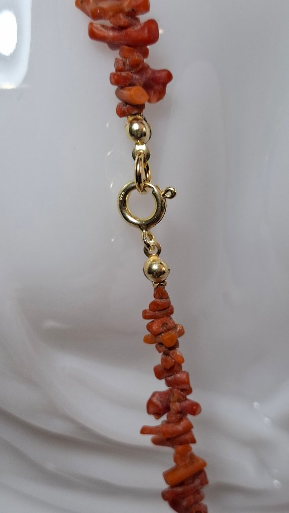 Red Coral 珊瑚 - Corallo rubrium  (没有保留价) #2.1