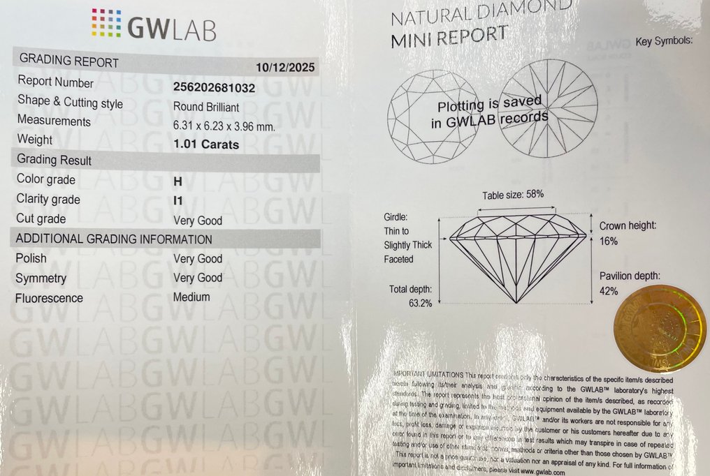 Sin precio de reserva - 1 pcs Diamante (Natural) - 1.01 ct - Redondo - H - I1 - Gemewizard Gemological Laboratory (GWLab) #2.1
