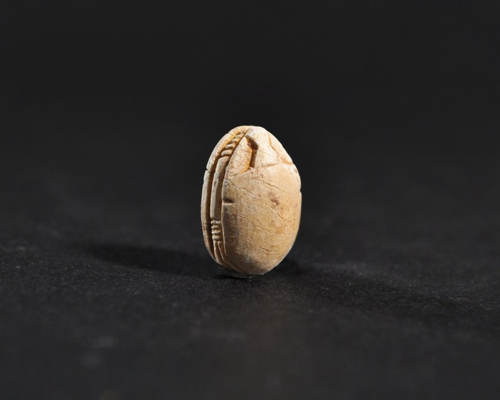 古埃及，第二中间期 Faience Scarab - 11.9 mm #1.0
