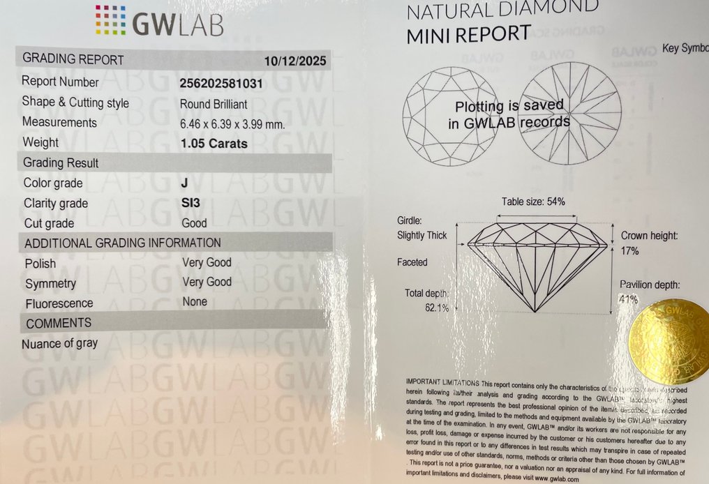 Senza prezzo di riserva - 1 pcs Diamante (Naturale) - 1.05 ct - Rotondo - J - SI3 - Gemewizard Gemological Laboratory (GWLab) #2.1