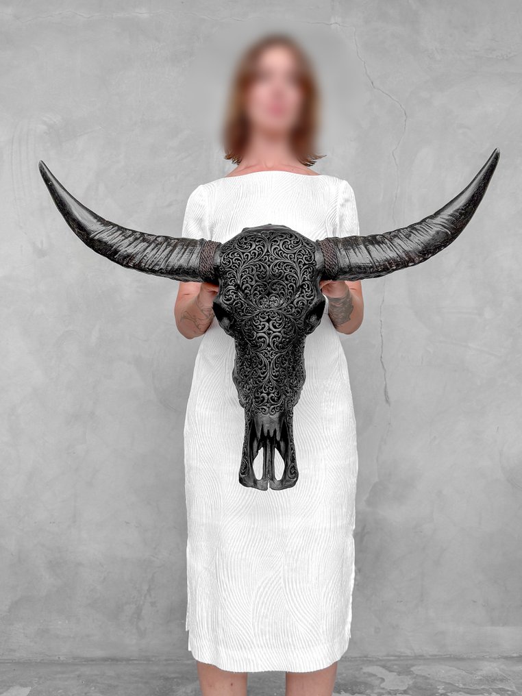 无底价 - C - 特大黑色雕刻水牛头骨 - 蕨叶图案 雕刻頭骨 - Bubalus Bubalis - 59 cm - 82 cm - 19 cm- 非《瀕臨絕種野生動植物國際貿易公約》物種 #2.1