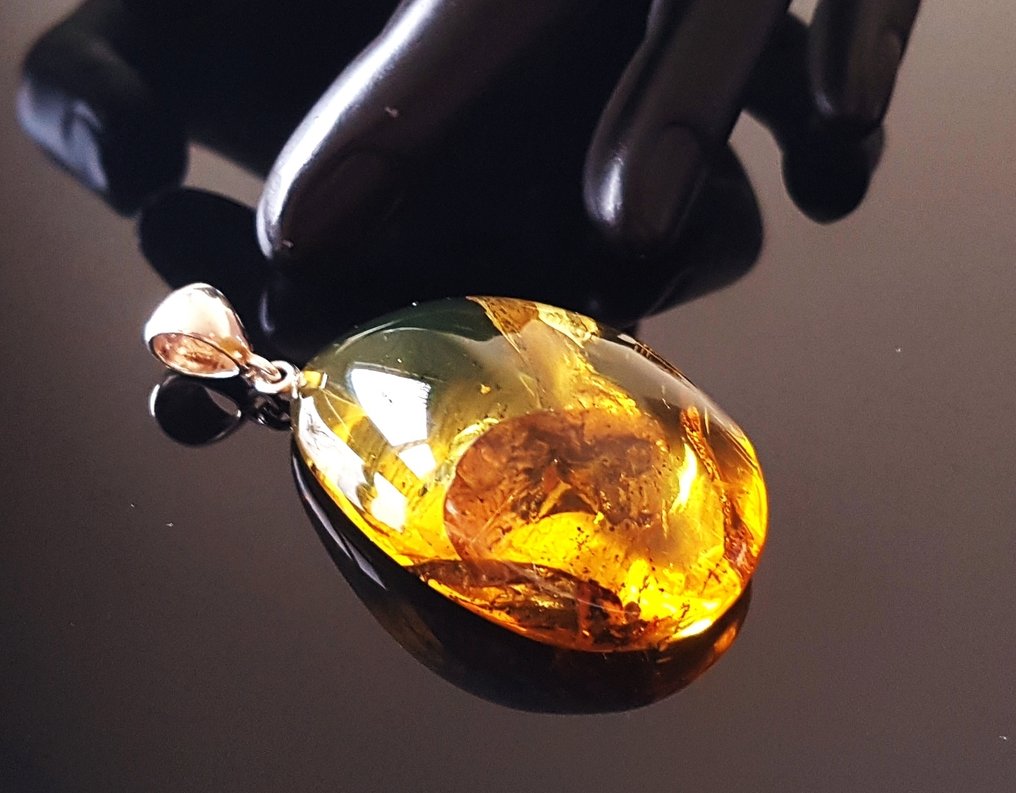 Πολύ σπάνιο μεγάλο φυσικό περιδέραιο από Βαλτική ρητίνη με περιεχόμενα απολιθωμένων εντόμων - Όμορφο - Κεχριμπάρι (χωρίς τιμή ασφαλείας) #3.2