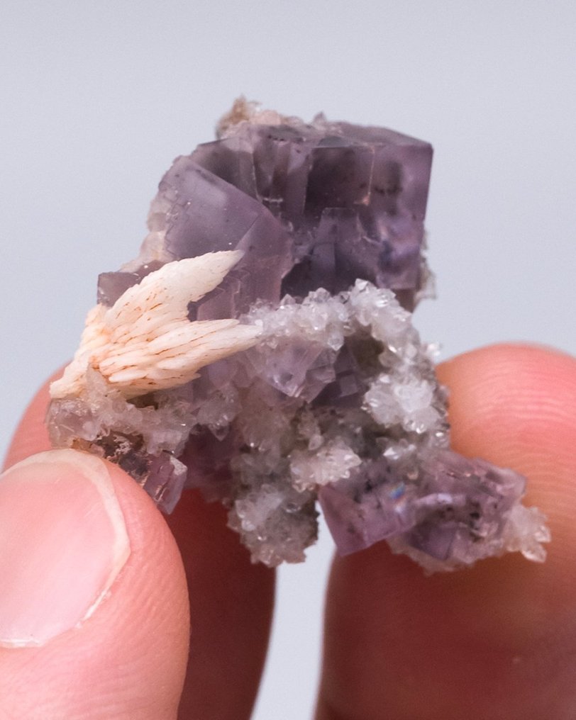 (ΚΛΑΣΙΚΟ ΣΥΝΔΥΑΣΜΟ) FLUORITE Και βαρίτης πάνω σε χαλαζία. - Ύψος: 2.3 cm - Πλάτος: 2.7 cm- 10 g - (1) #3.2