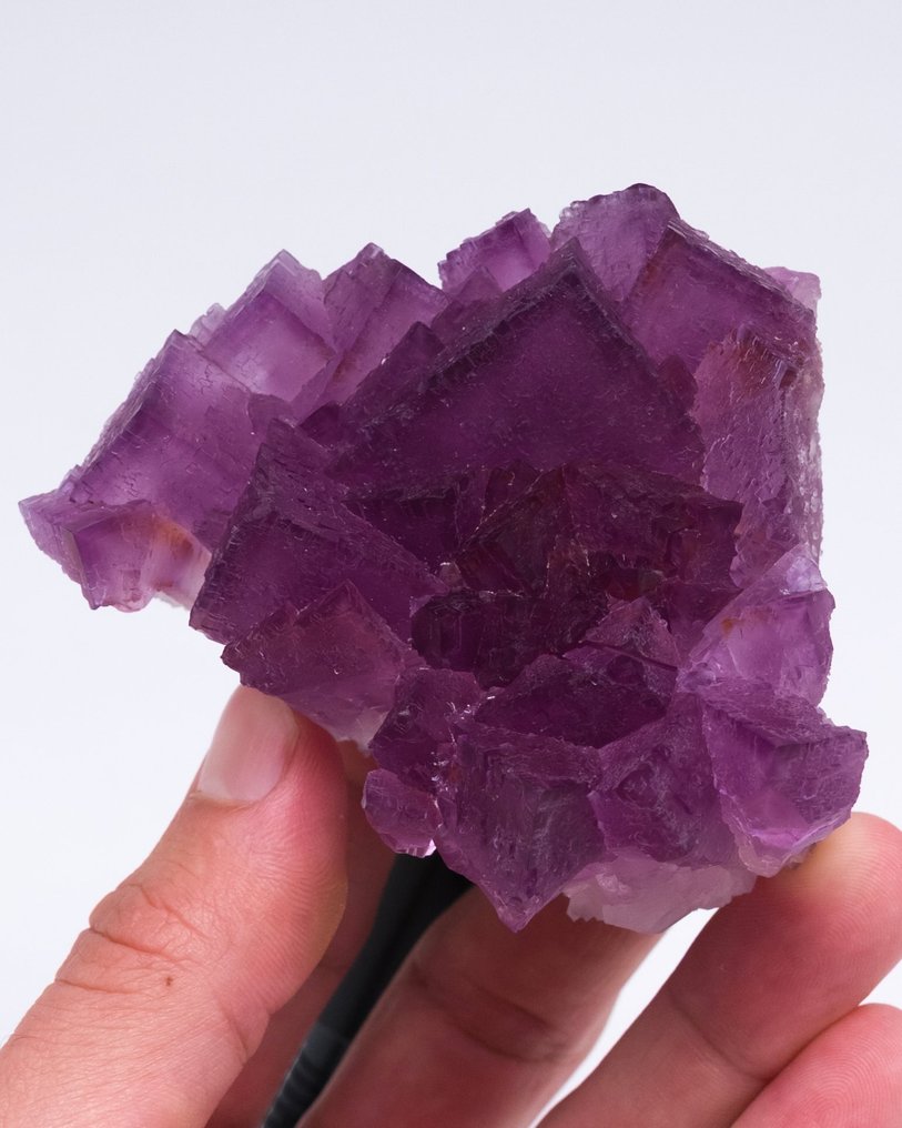 Grande fluorite viola piastra flottante - Altezza: 4.7 cm - Larghezza: 8.1 cm- 275 g - (1) #3.2