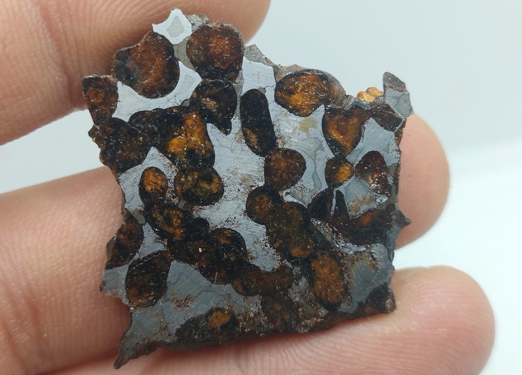 Sericho Pallasite Meteorite Slice- 12.5 g #3.2
