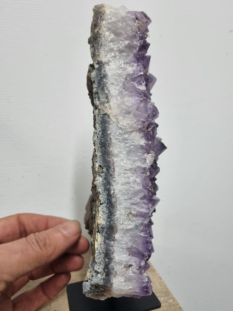 无RP - HQ紫色紫水晶，配豪华钢制支架 - 高度: 255 mm - 宽度: 155 mm- 2400 g #4.3