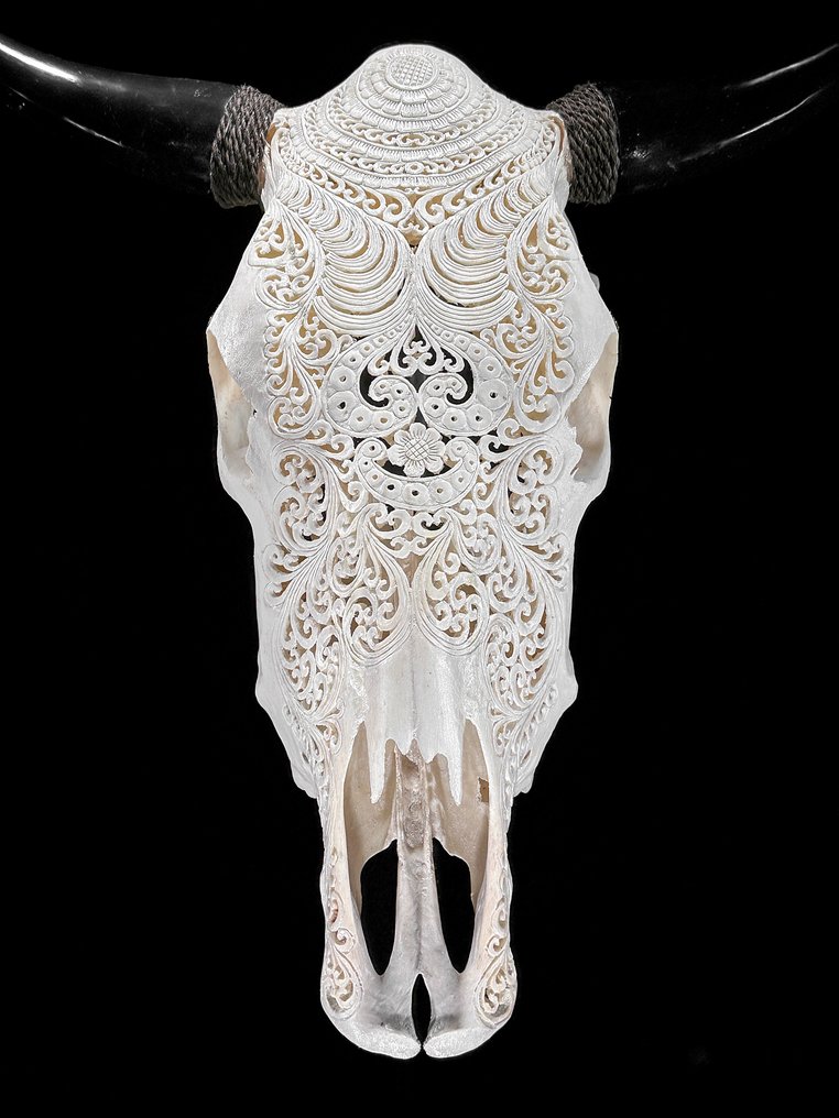 Χωρίς ελάχιστη τιμή - Εντυπωτικό μεγάλο λευκό χειροποίητο κρανίο ταύρου - Μοτίβο Badong Λαξεμένο κρανίο - Bos Taurus - 55 cm - 58 cm - 17 cm- Είδη που δεν ανήκουν στο CITES -  (1) #1.0