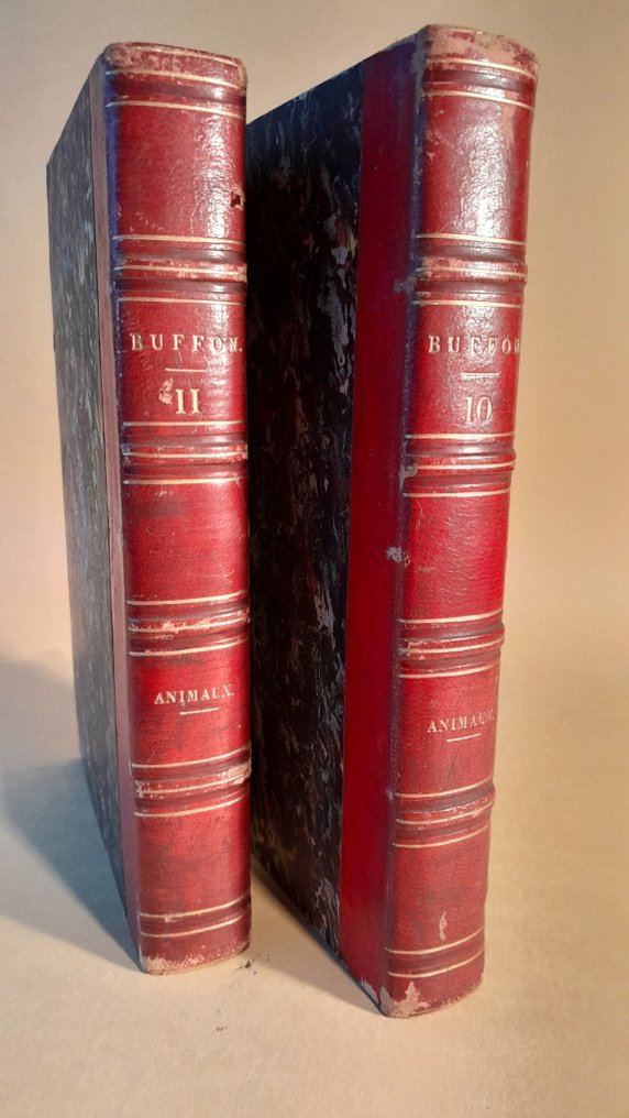 Comte de Buffon - Oeuvres complètes: volumes 10 et 11 les animaux quadrupèdes (sauvages et domestiques) - 1833-1834 #2.1